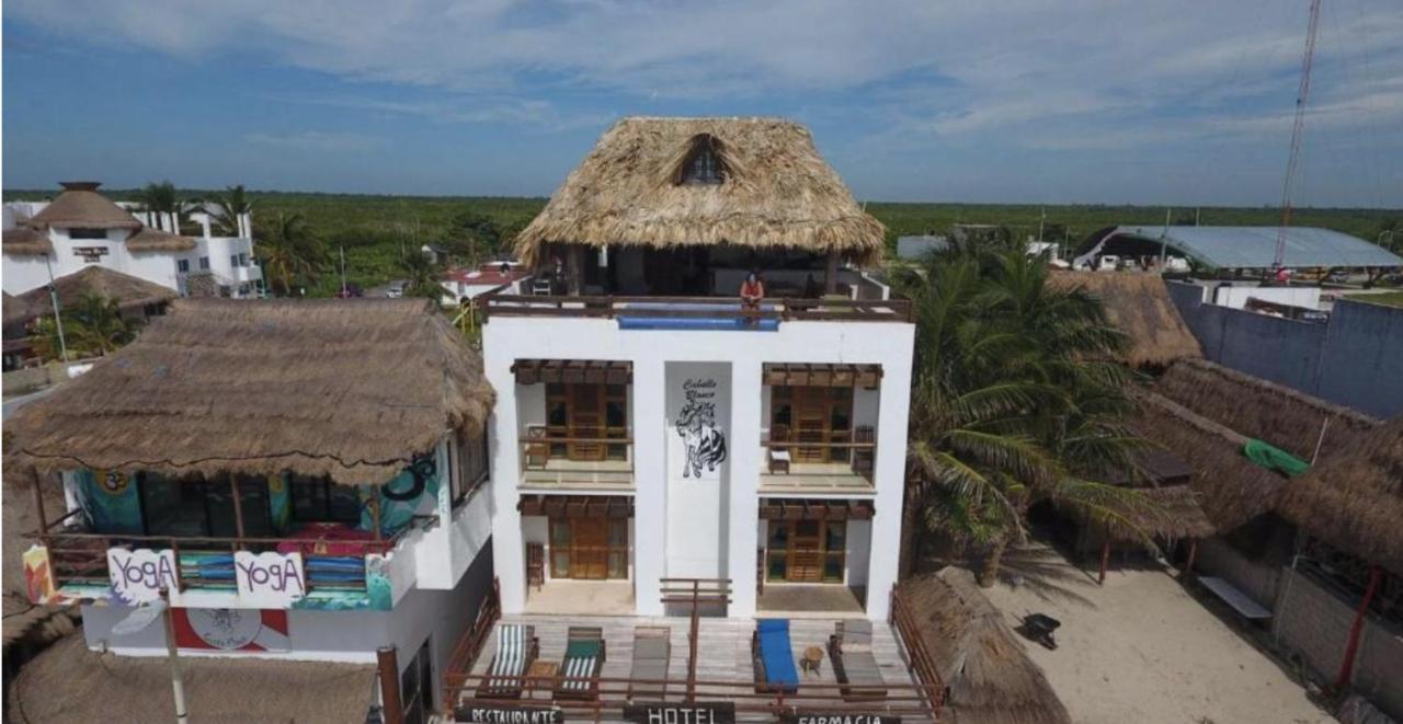 Hotel El Caballo Blanco Mahahual Ngoại thất bức ảnh