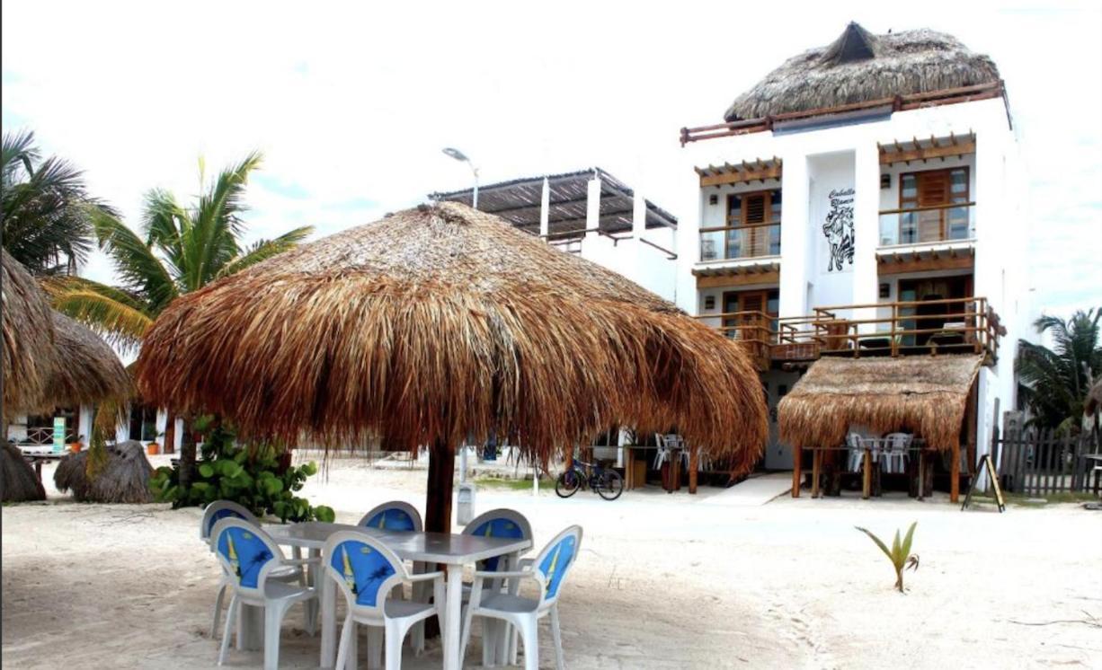 Hotel El Caballo Blanco Mahahual Ngoại thất bức ảnh